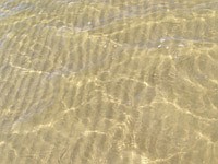 Ferienwohnung auf Usedom an der Ostsee