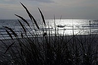 Ferienwohnung auf Usedom an der Ostsee